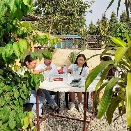 Hotel Tiger Tops Sauraha Extérieur photo