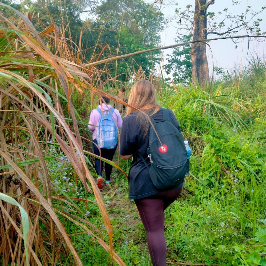 Hotel Tiger Tops Sauraha Extérieur photo