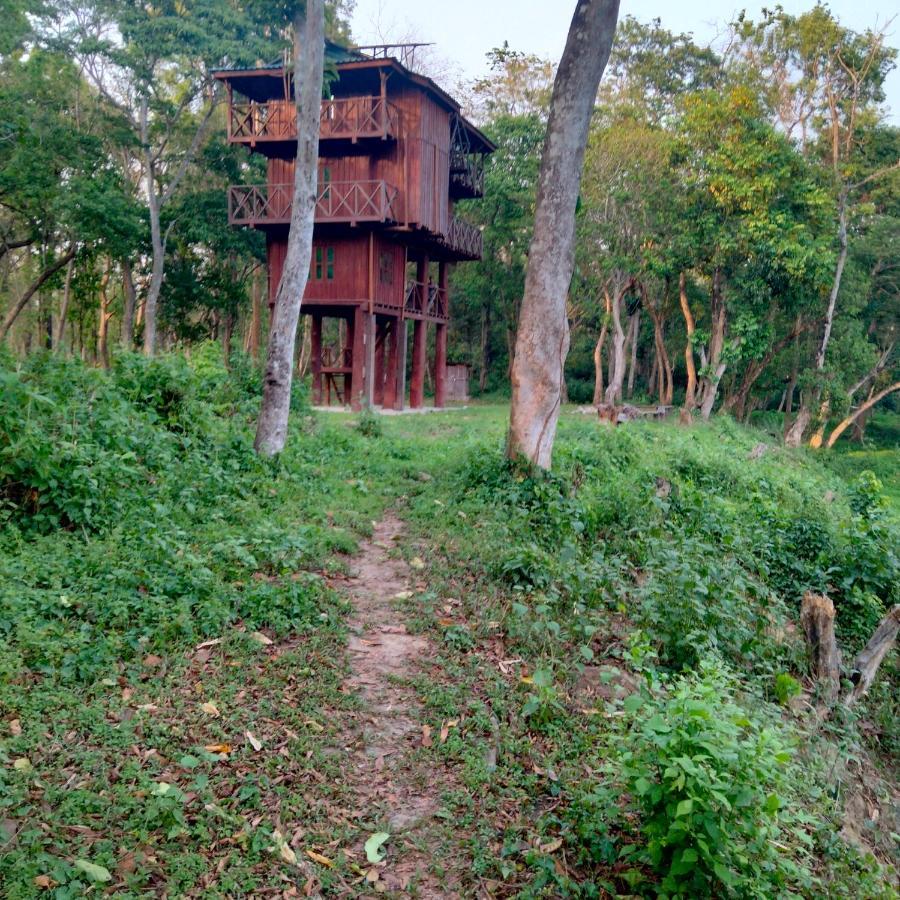 Hotel Tiger Tops Sauraha Extérieur photo