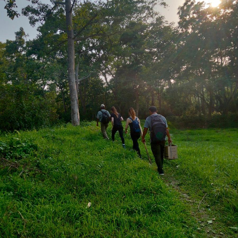 Hotel Tiger Tops Sauraha Extérieur photo