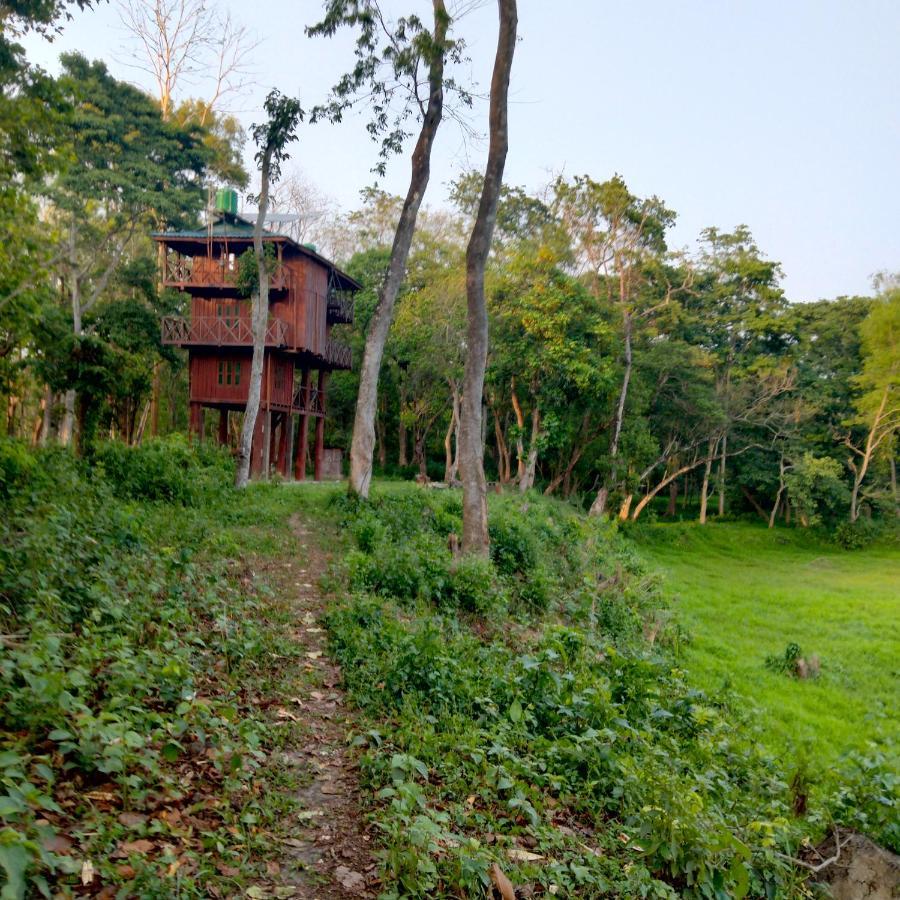 Hotel Tiger Tops Sauraha Extérieur photo