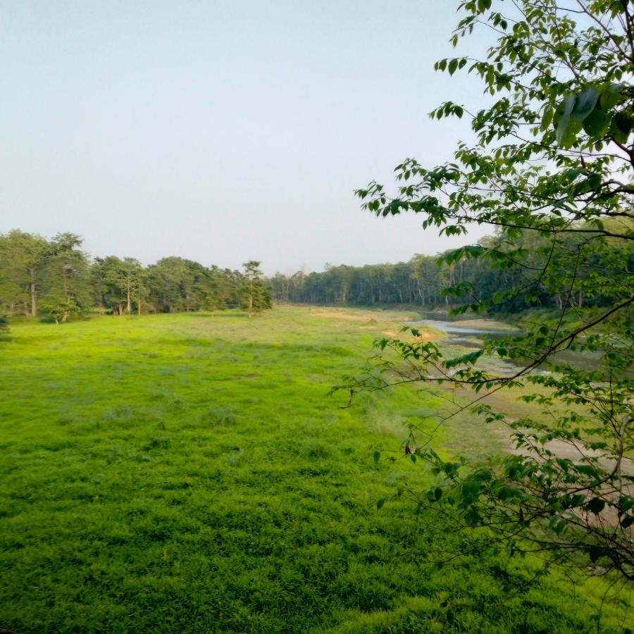 Hotel Tiger Tops Sauraha Extérieur photo