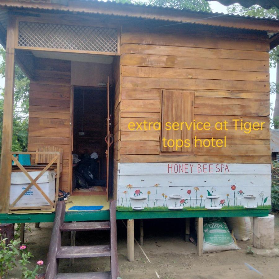 Hotel Tiger Tops Sauraha Extérieur photo