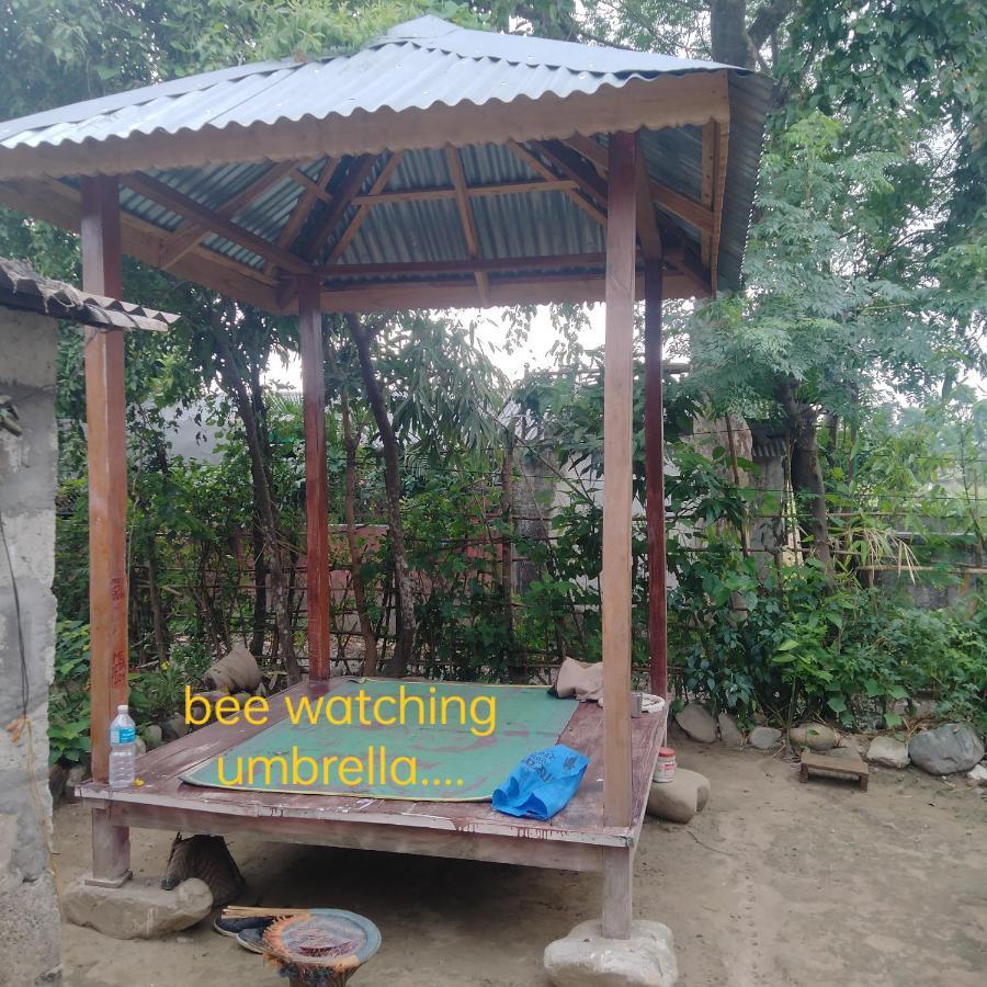 Hotel Tiger Tops Sauraha Extérieur photo