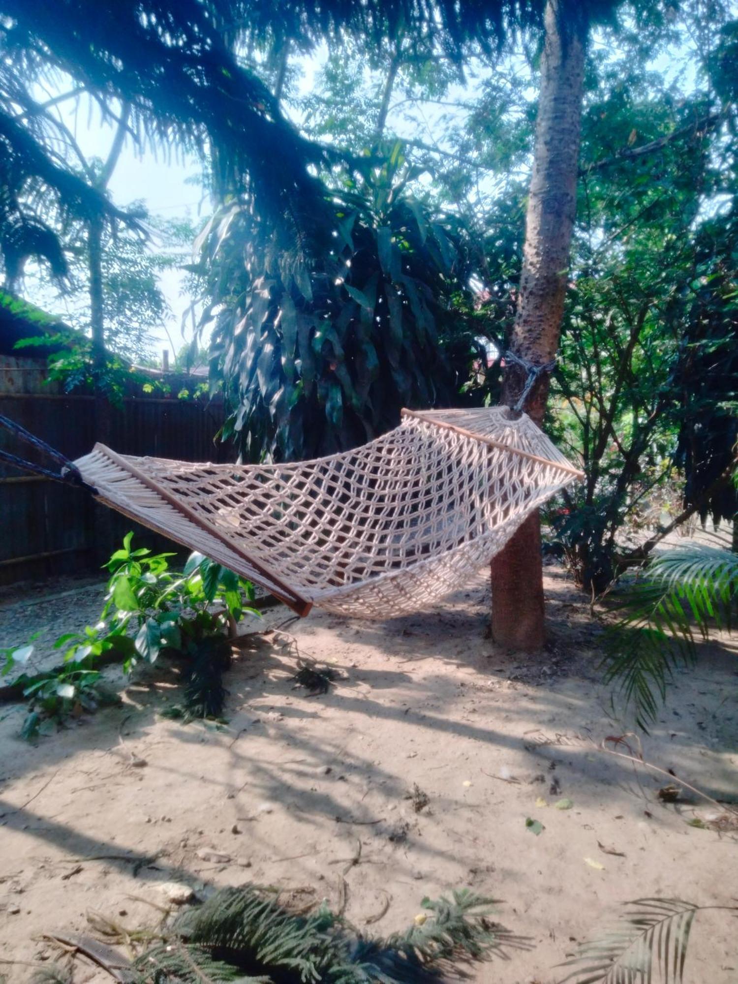 Hotel Tiger Tops Sauraha Extérieur photo