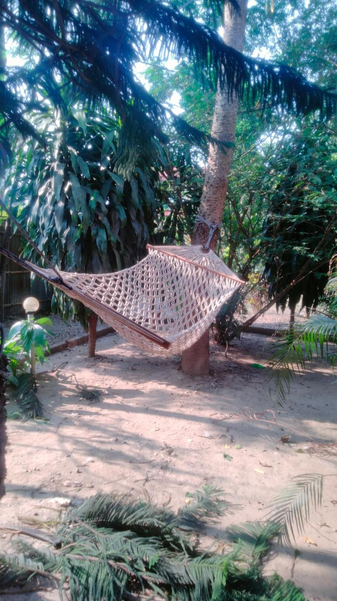 Hotel Tiger Tops Sauraha Extérieur photo