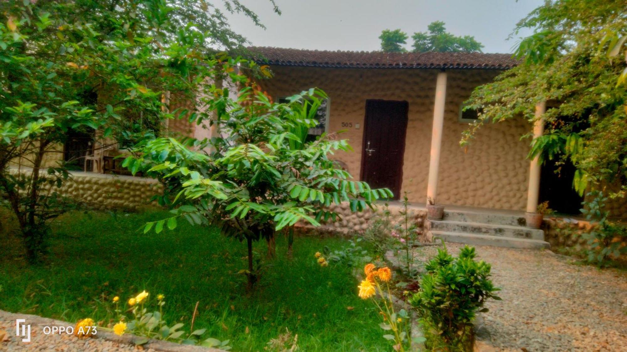 Hotel Tiger Tops Sauraha Chambre photo