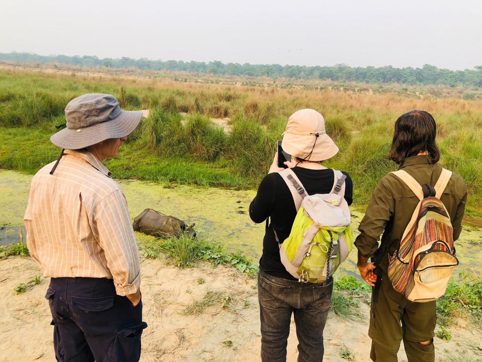 Hotel Tiger Tops Sauraha Extérieur photo