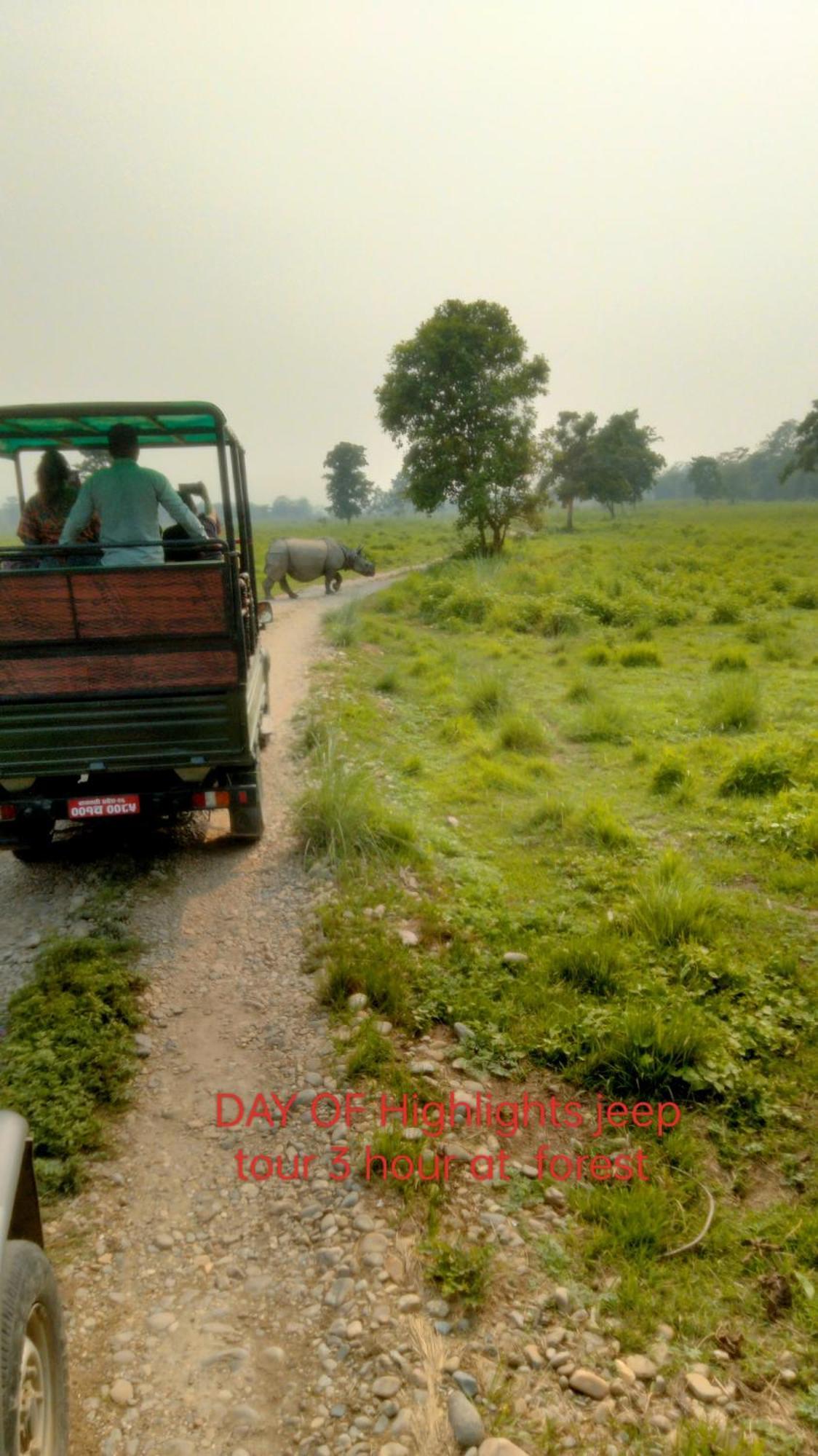 Hotel Tiger Tops Sauraha Extérieur photo