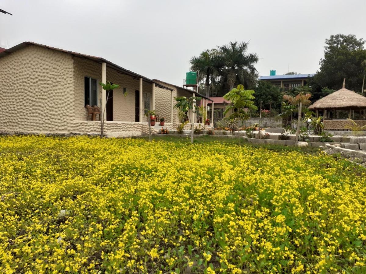 Hotel Tiger Tops Sauraha Extérieur photo